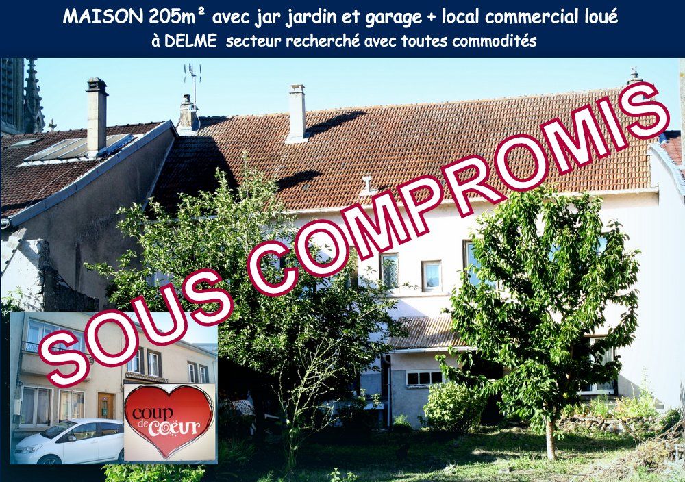 57590 DELME, Maison 225m² terrain, garage + local commercial, 199 500