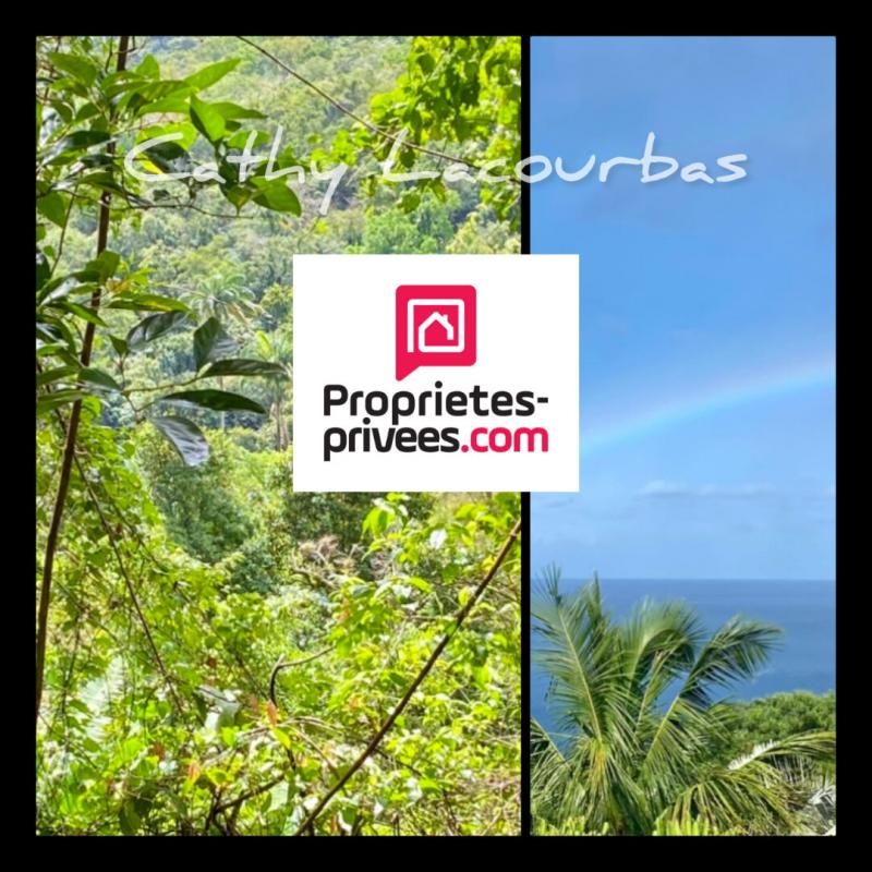 POINTE-NOIRE Rare -Villa et dépendances sur les hauteurs - Guadeloupe 1