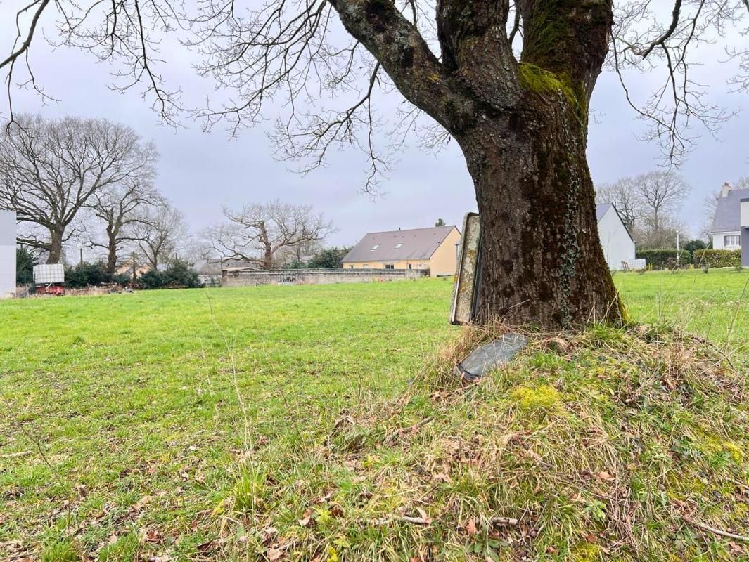 Terrain Conquereuil 667 m2