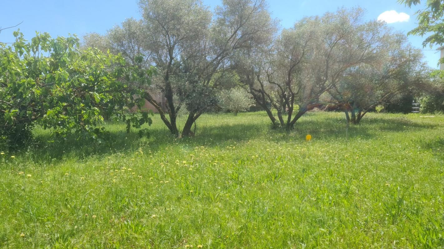 Terrain Paulhan 817 m2