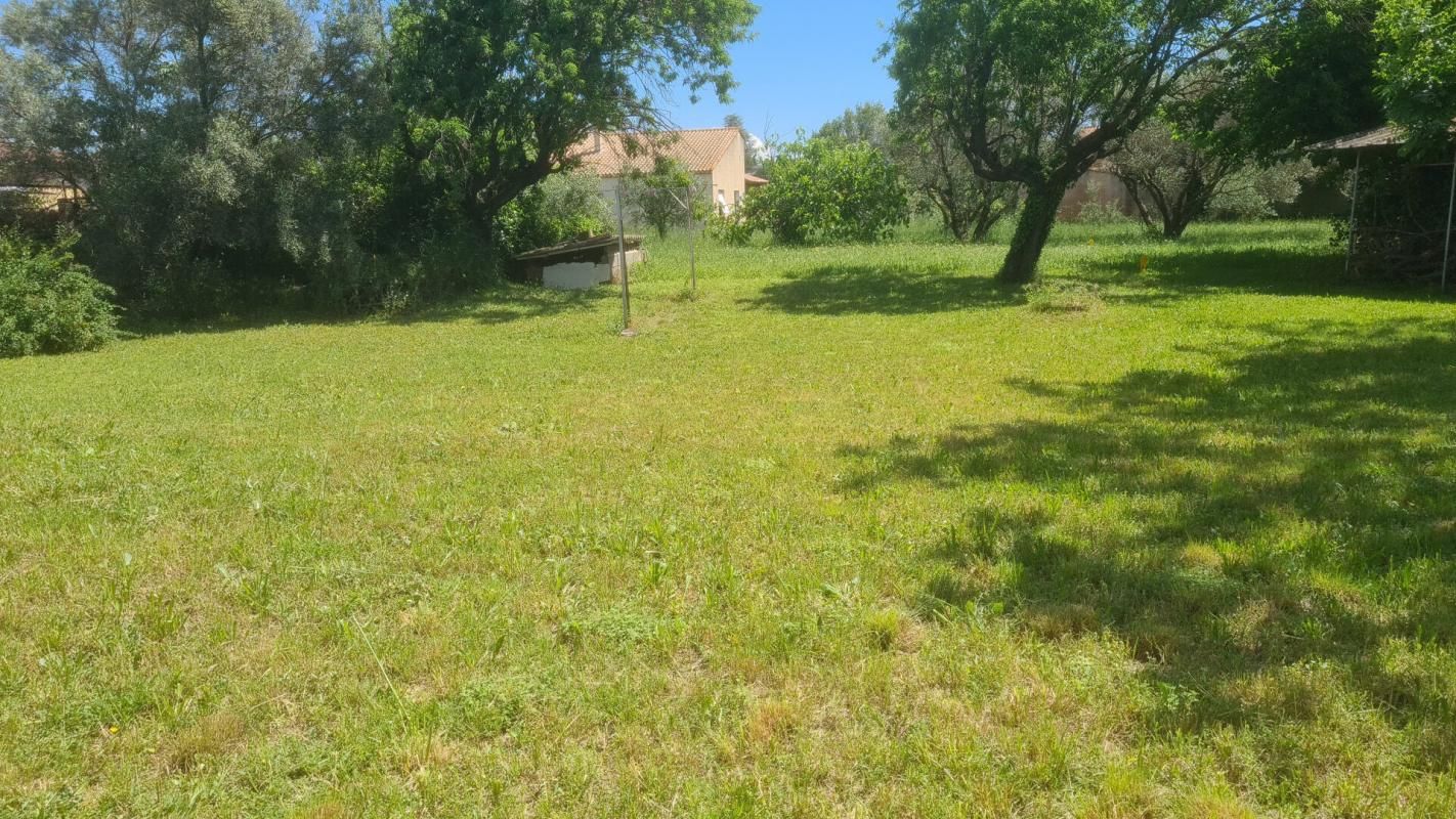 Terrain Paulhan 528 m2