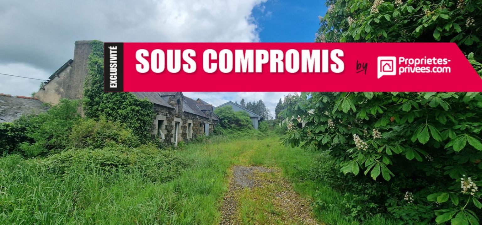 Ancienne ferme Merléac 2 pièce(s) 80 m2