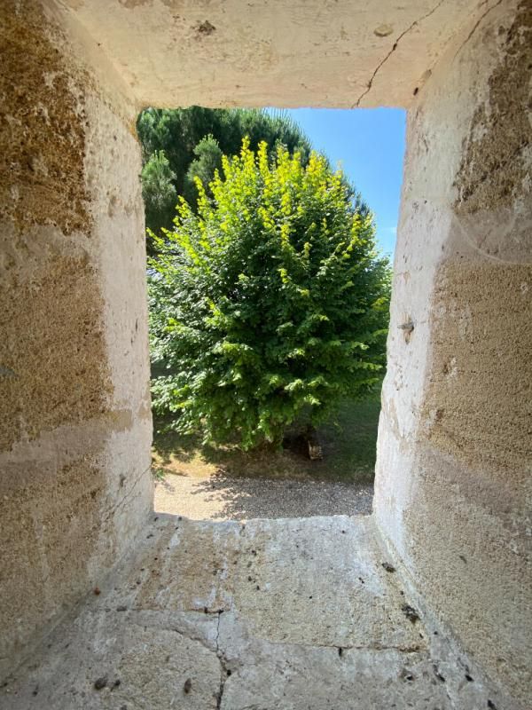 Votre rêve immobilier vous attend au coeur de Saint-Émilion ! Superbe demeure avec chai!!