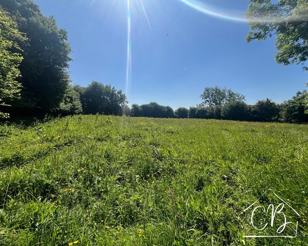50500 TERRE-ET-MARAIS - Terrain de 4671m2
