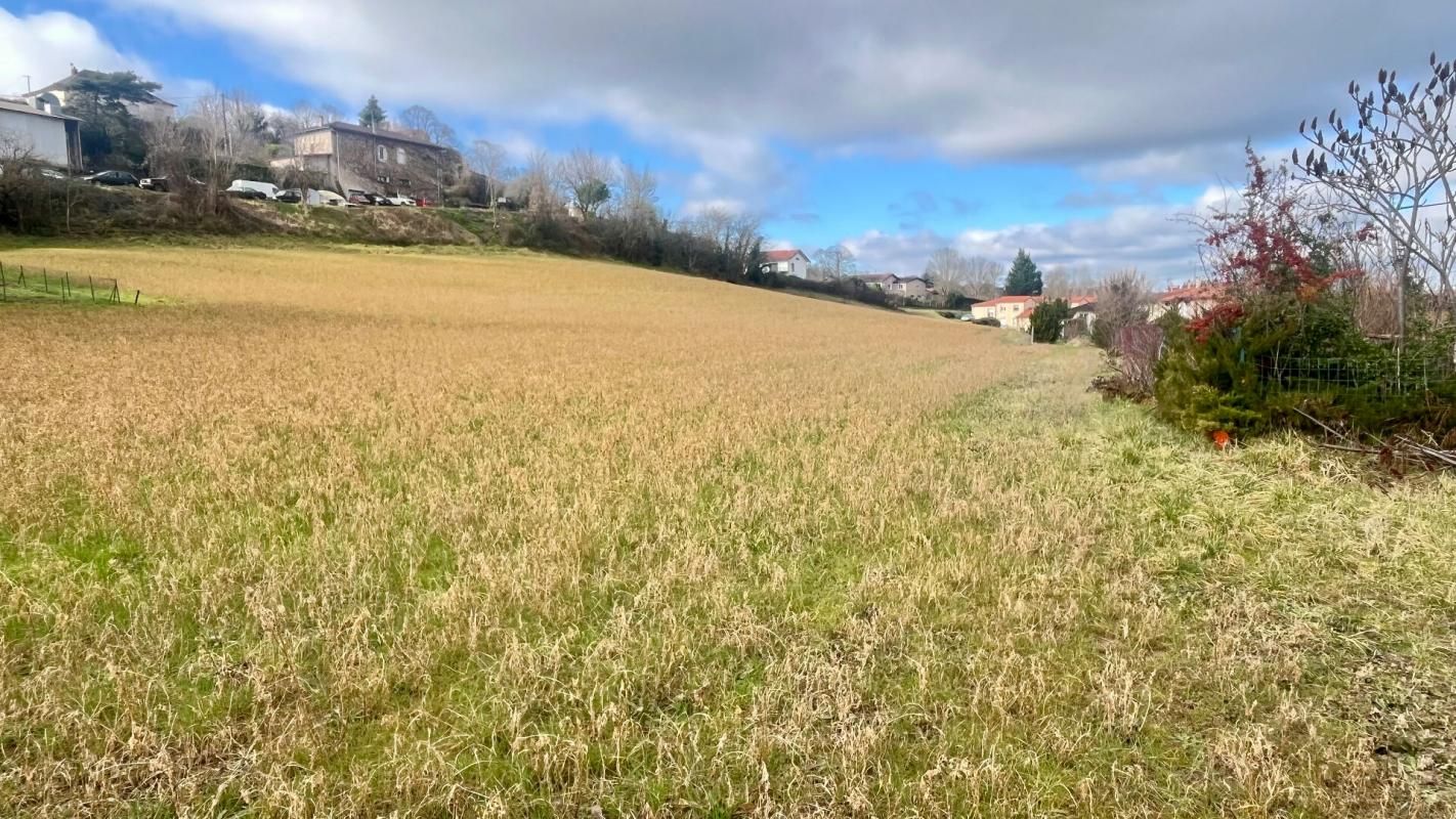 Terrain Saint Benoit De Carmaux 16000 m2