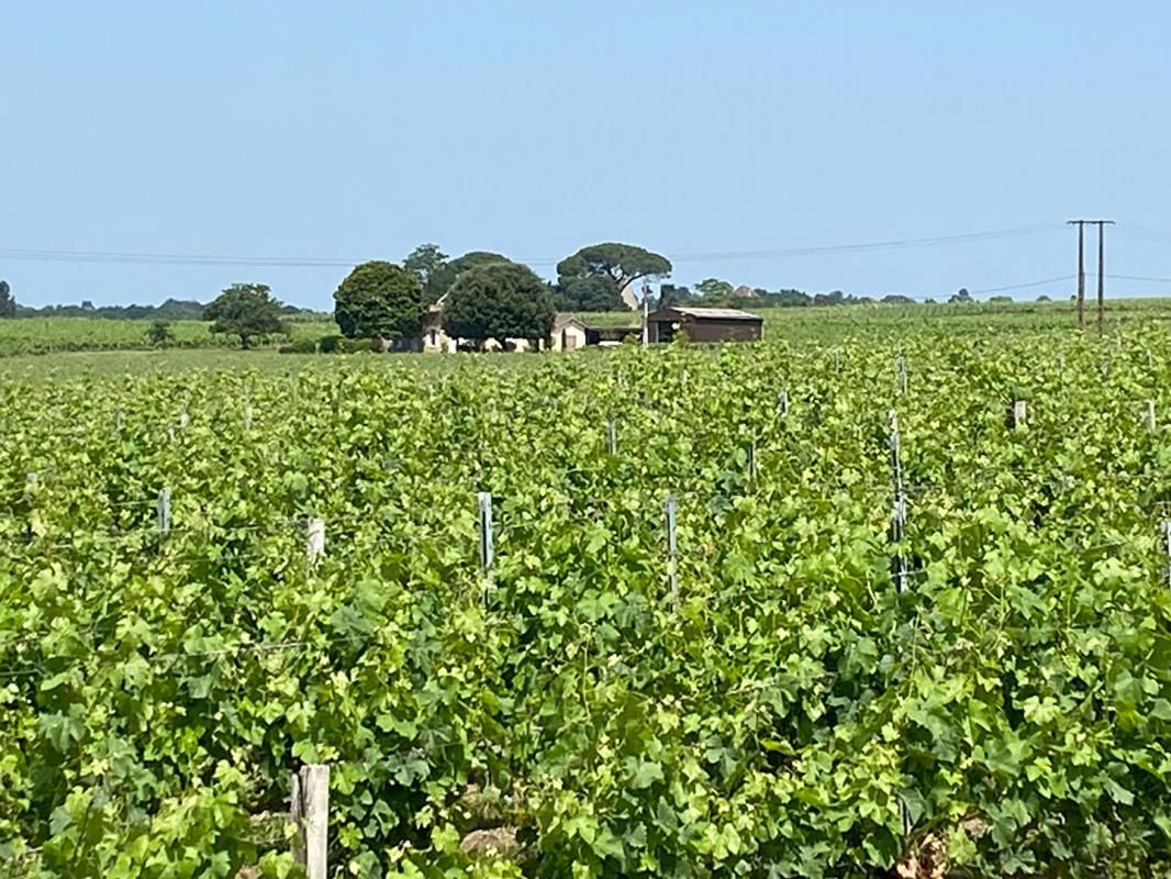 Montagne Saint-Émilion - Domaine viticole 8 Hectares, Maison, Hangar