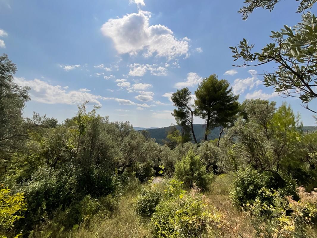 Terrain Exceptionnel de 3 015 m² avec Vue Panoramique à Claviers (83)