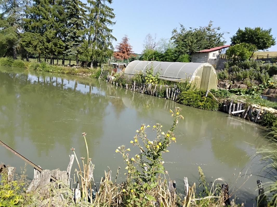 Etang à Buffignécourt