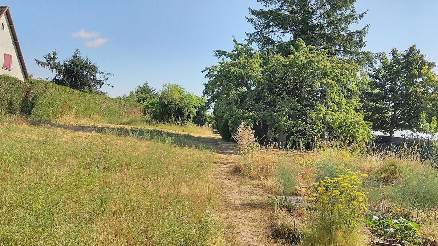 Terrain Chateauroux 2541 m2