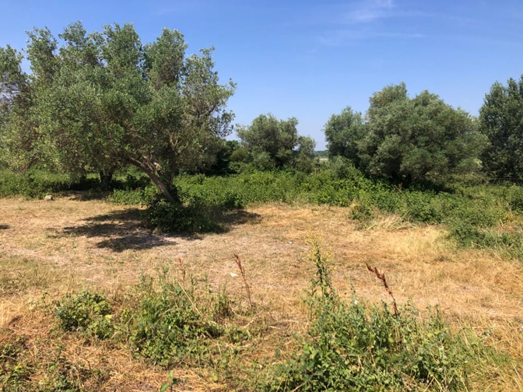 Terrain agricole Saint Hilaire D Ozilhan 6640 m2 127290