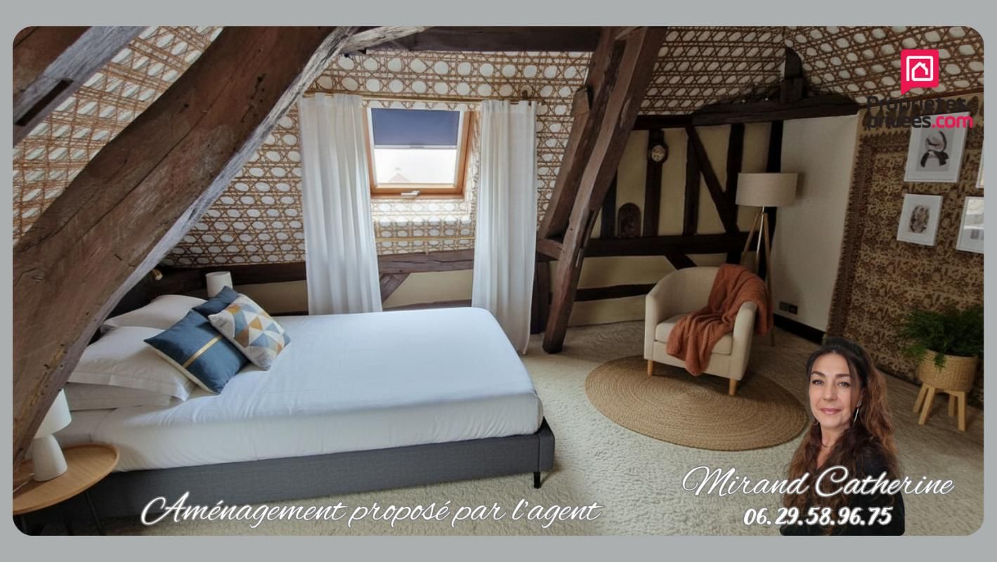 Ensemble immobilier à Troyes -12 pièces 260 m2