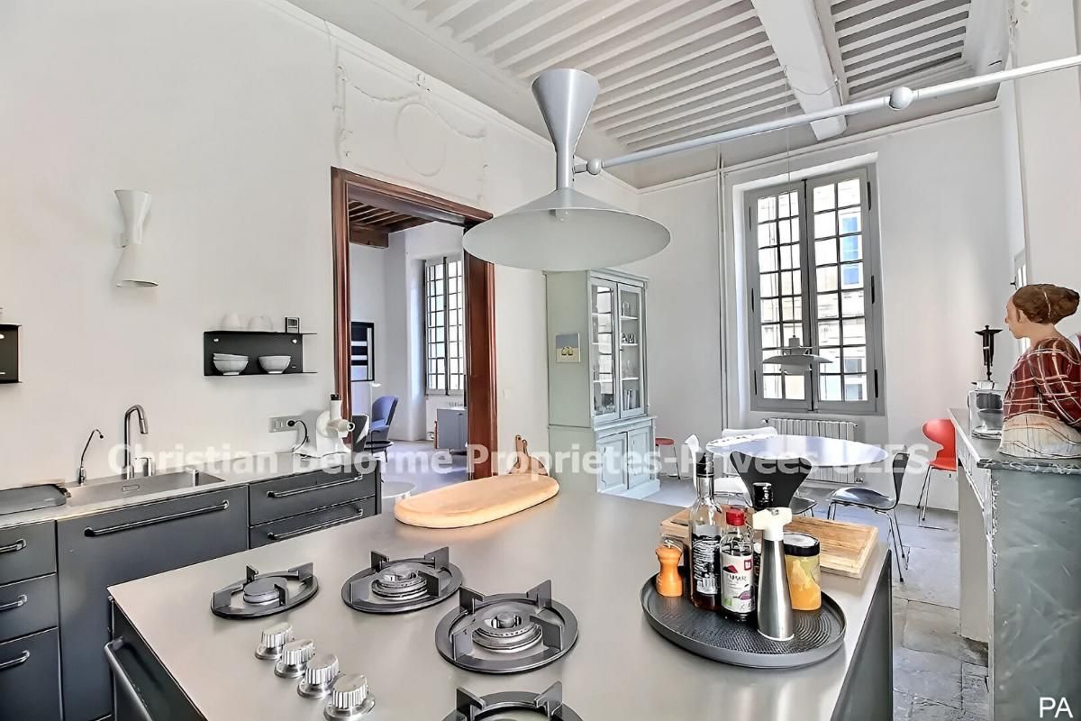 UZES Hôtel Particulier 10 pièce(s) 320 m2