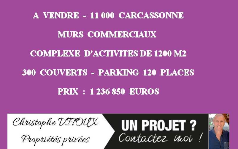 11000 CARCASSONNE - MURS COMMERIAUX, COMPLEXE D'ACTIVITES 1200 M²