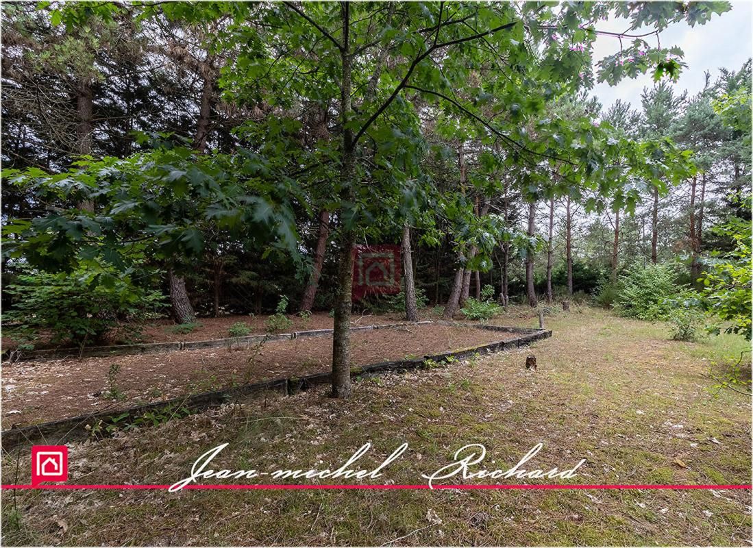 Maison Soings En Sologne 5 pièce(s) 164 m2