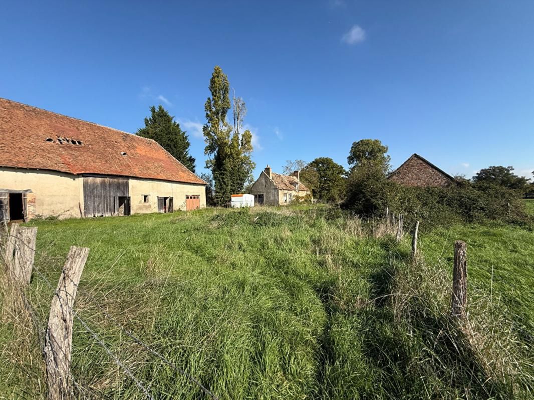 Terrain Yzeure 1,5 ha + grange 200 m2 + ancienne maison + dépendances