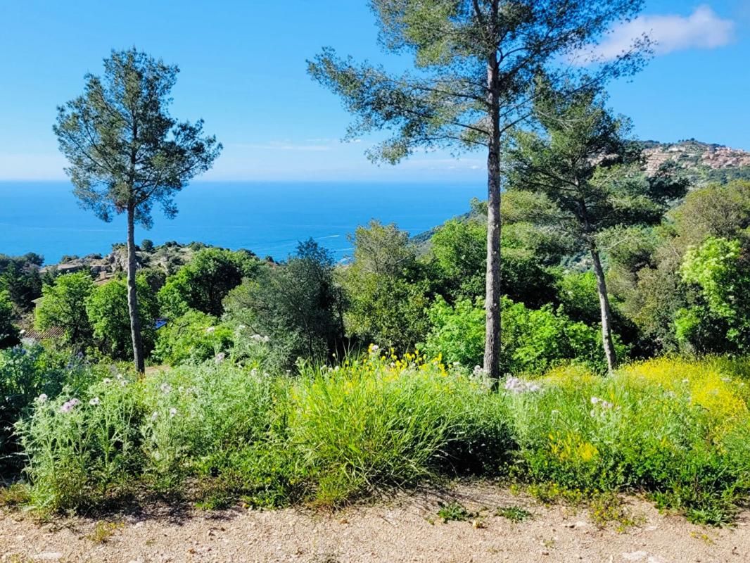 Terrain(s) constructible(s) pleine vue mer au calme, La Turbie 1500m2 proche Monaco
