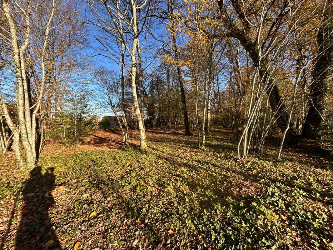 A vendre, terrain à bâtir sur les hauteurs de MARSAC-SUR-L'ISLE 24430