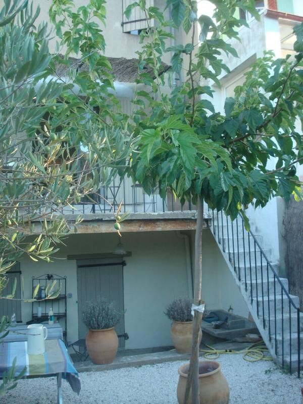 ROUGIERS MAISON DE VILLAGE T3 AVEC JARDIN