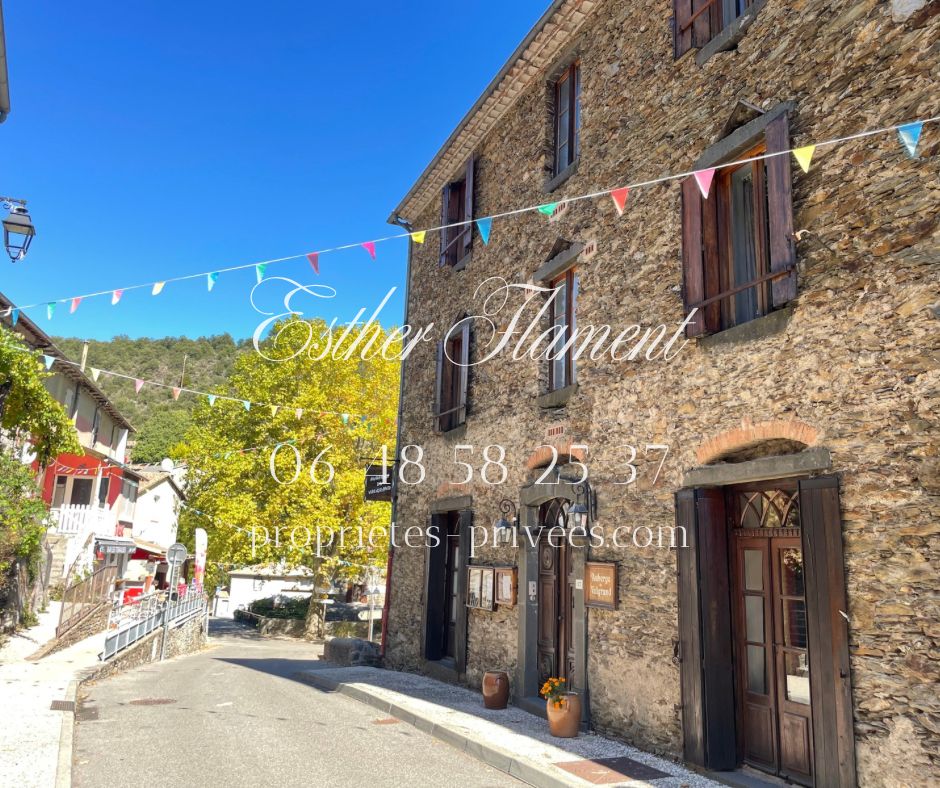 Maison cévenole de caractère 8 chambres proximité Saint jean Du Gard