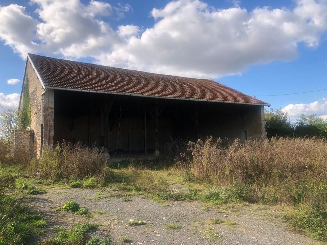 Authentique grange en pierre avec dépendance à réhabiliter - 6470 m² de terrain - Secteur Provins (77)