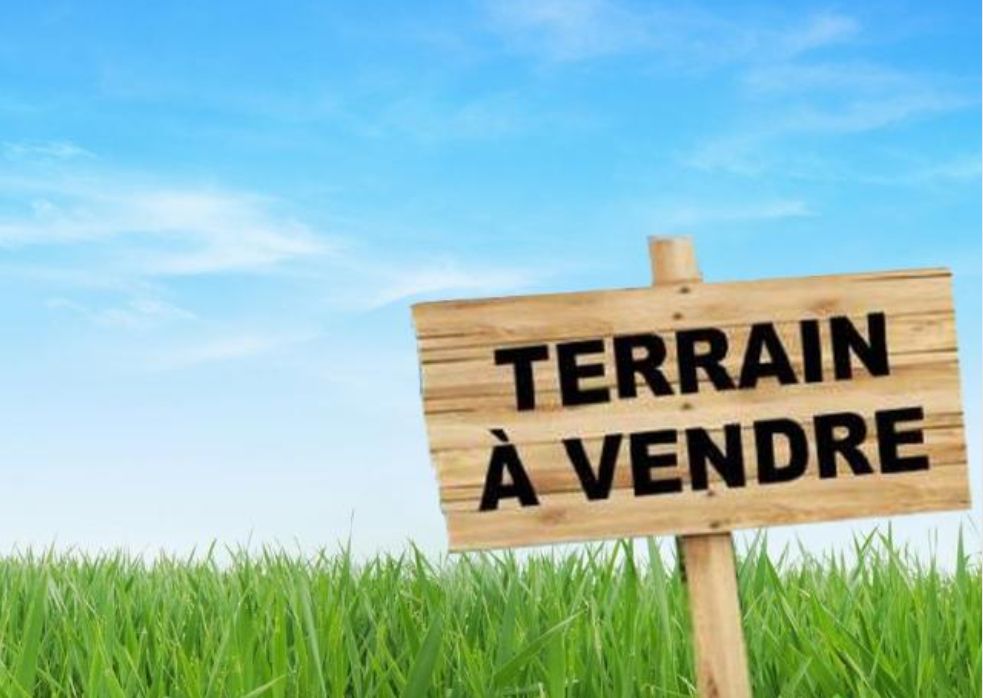Terrain