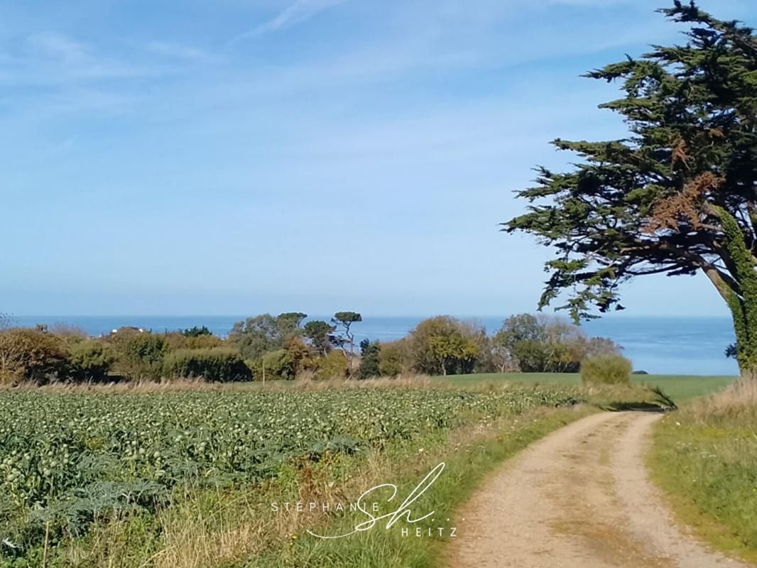 Maison Plougasnou 4 pièce(s) 76m2