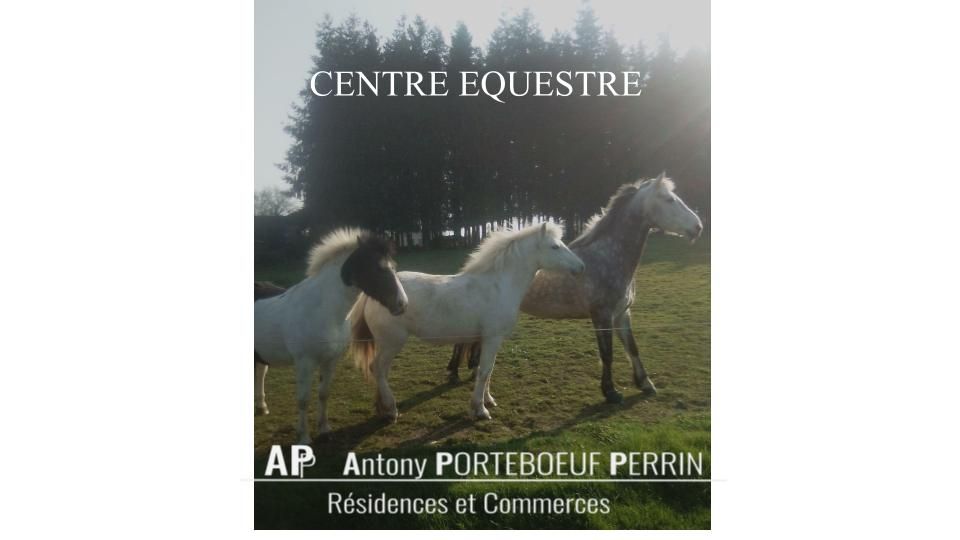 Centre Equestre en Centre Bretagne, Murs commerciaux