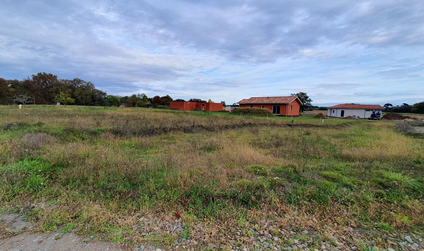 Lotissement au calme