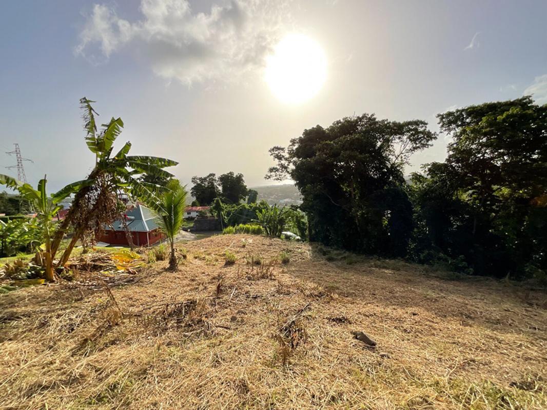 Terrain Gourbeyre - Vue mer - 1111 m2