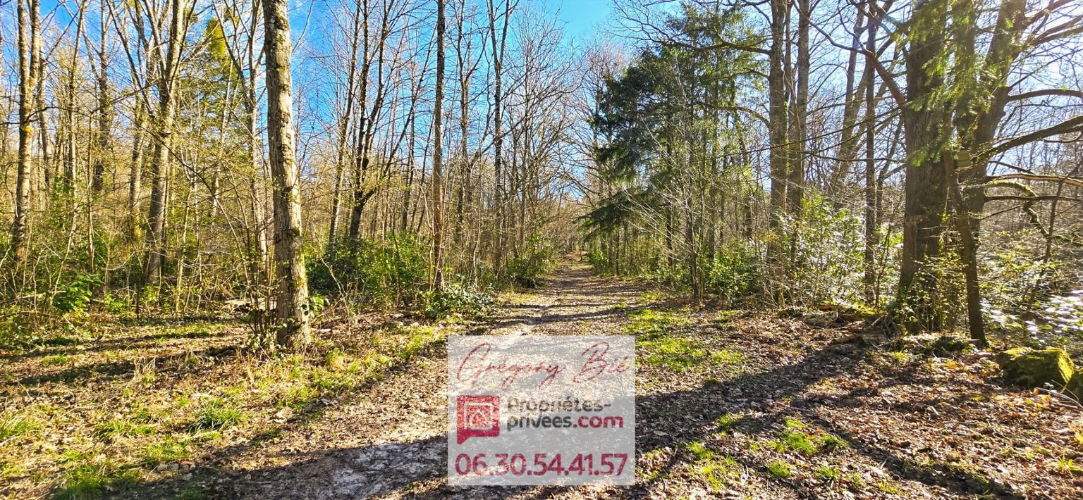 Domaine Forestier 9,5 hectares