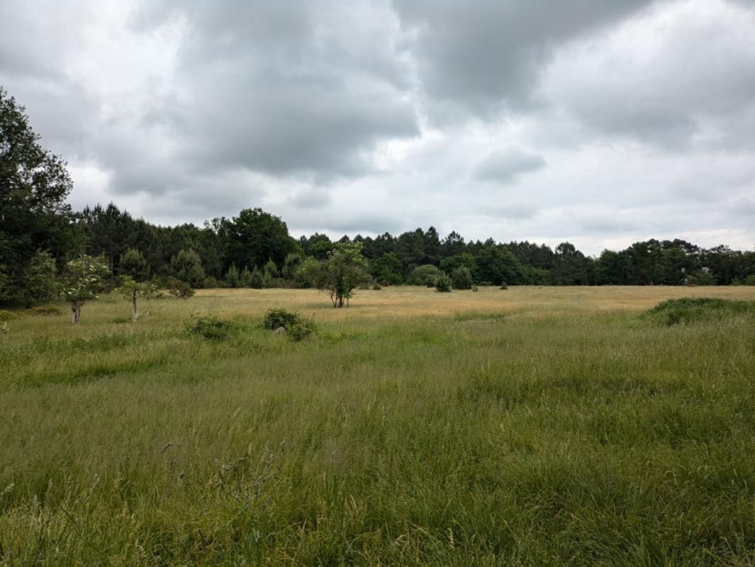 12 ha de terres avec étang et bois, Cercoux