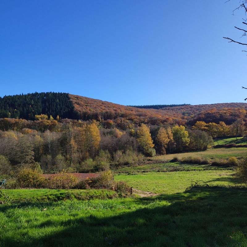 Maison Marigny L'Eglise 2 pièces 35 000