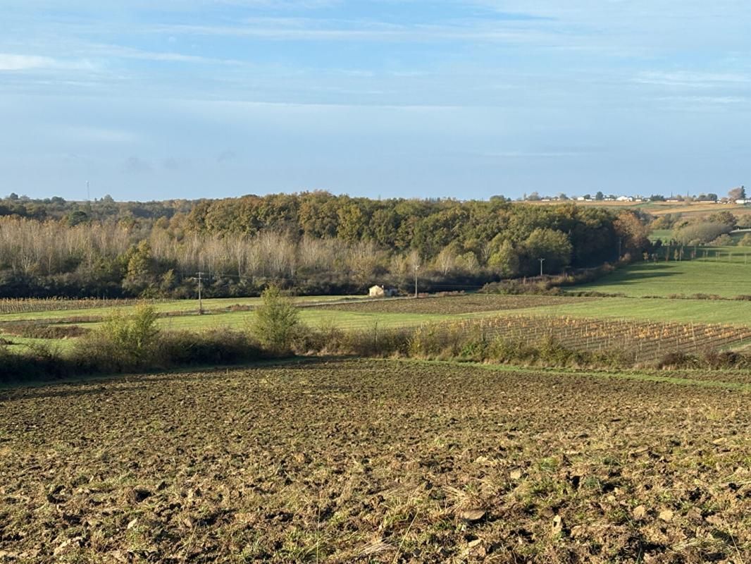 Terres d'Exception : domaine forestier, vignes et pâturages au coeur des coteaux de l'Entre-Deux-Mers