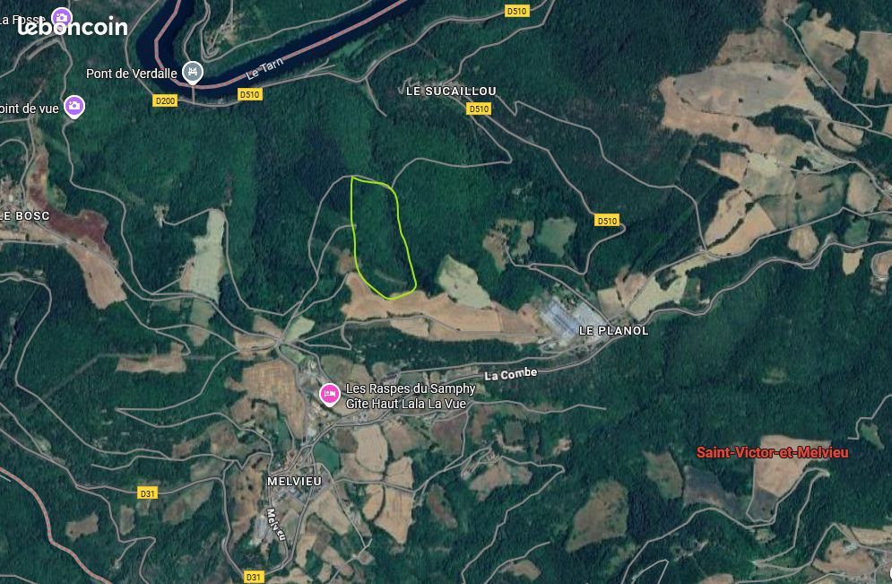 Domaine forestier de 43190 m2