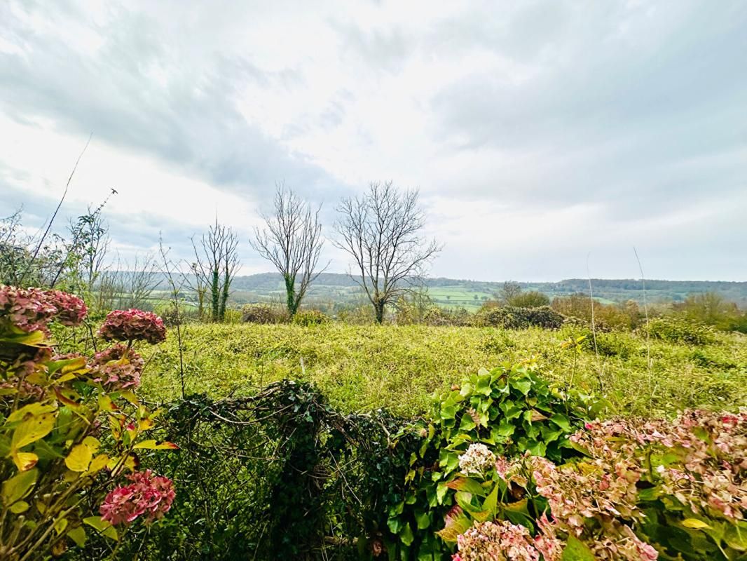 Terrain Manneville La Pipard 3547 m2