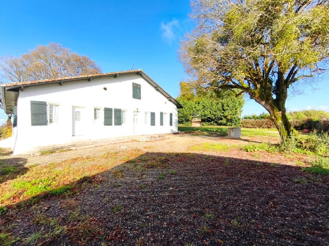 Maison Poyartin 154 m2 3000 m2 terrain