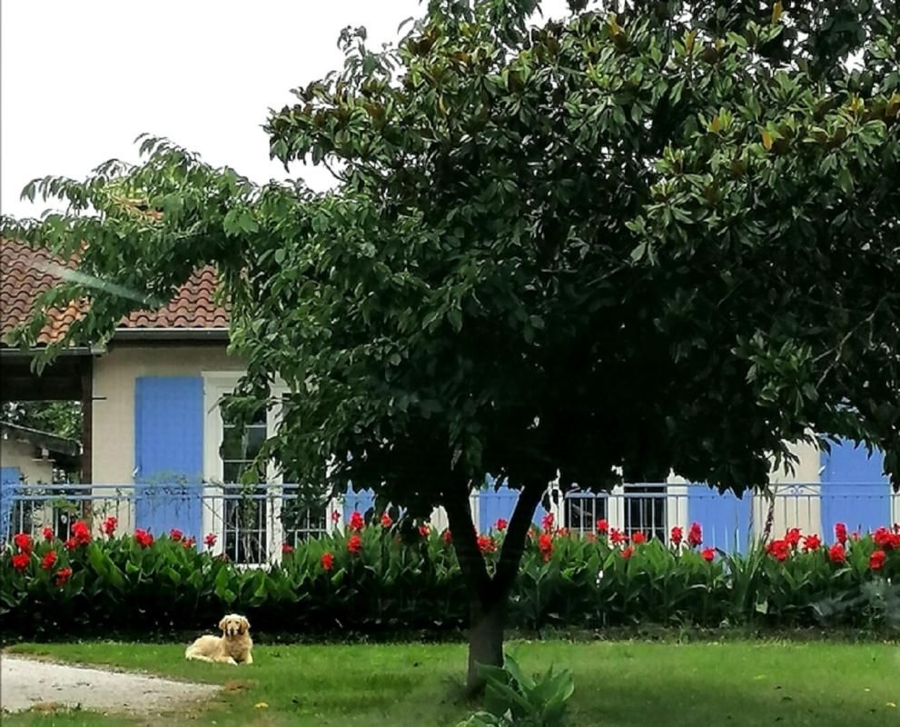 LOUPIAC MAISON T4 DE 100 M2 A 1/2 H DE TOULOUSE