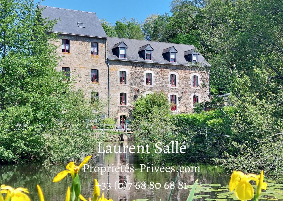 Moulin: Gîtes / Chambres d'hôtes (621 m2)