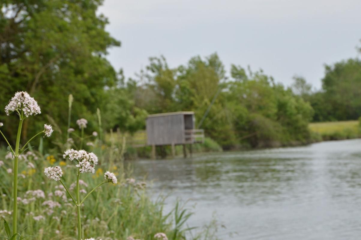 Terrain constructible 17 Le Mung libre choix du constructeur