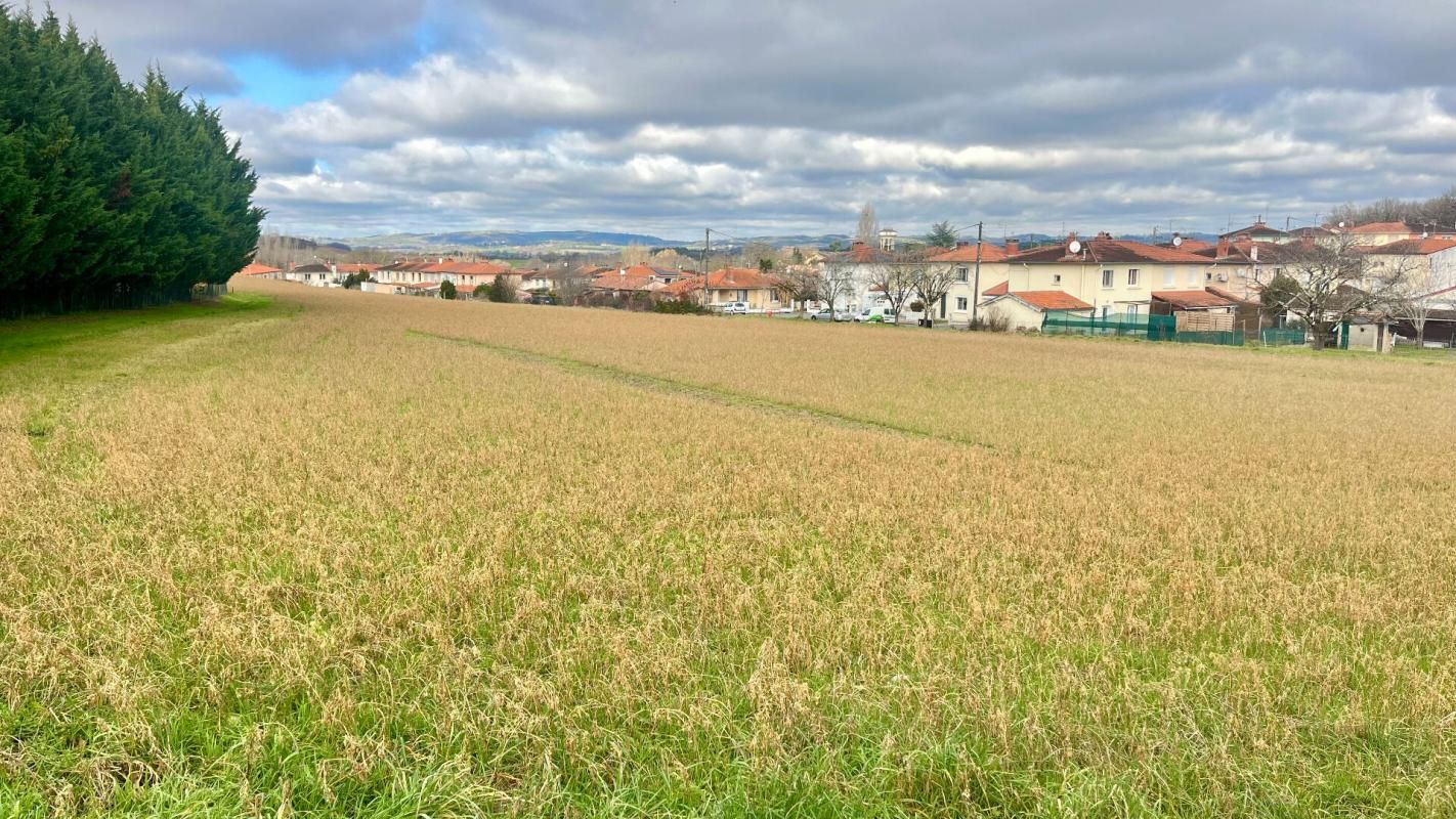 Terrain Saint Benoit De Carmaux 16000 m2