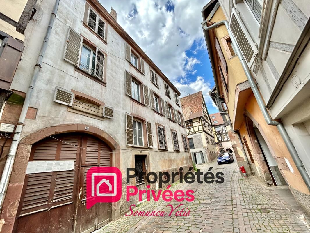 ENSEMBLE IMMOBILIER DE CARACTÈRE - 450 m² - BARR (67140)