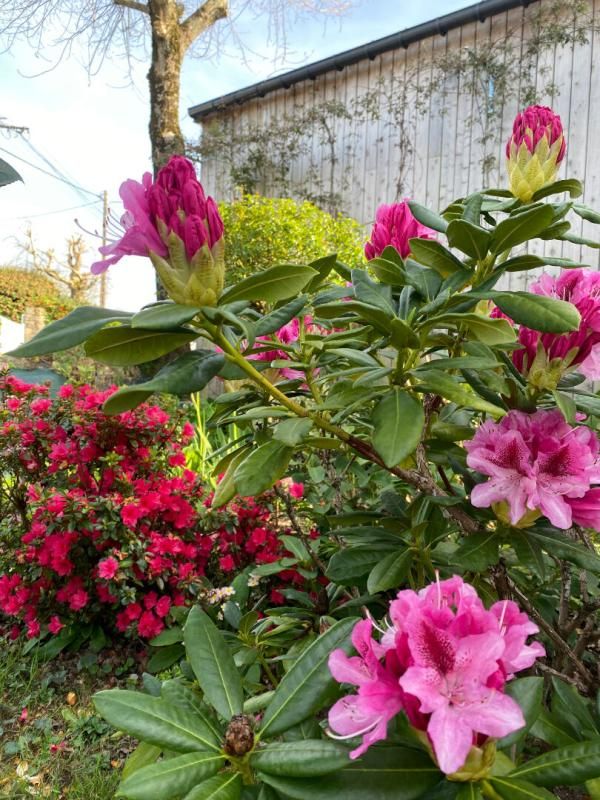 NOUVEAUTE RARE Maison Vannes 8 pièce(s) 160 m2