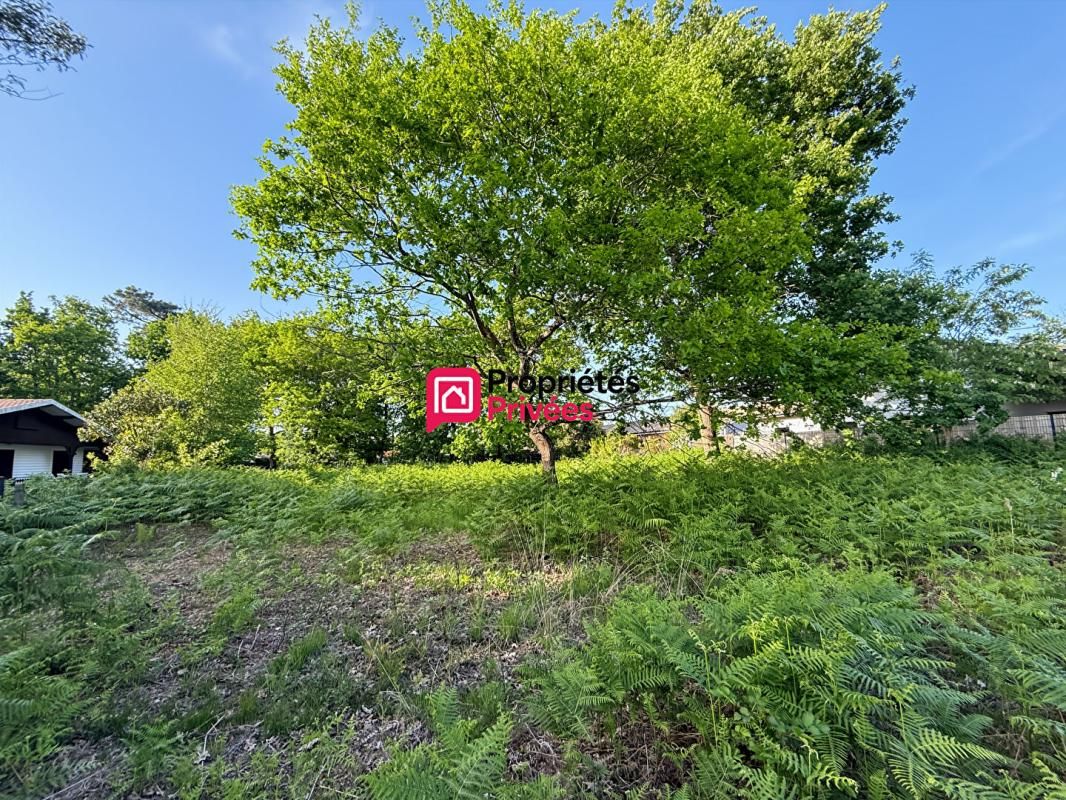 HOURTIN - TERRAIN VIABILISE - 989M2 HORS LOTISSEMENT