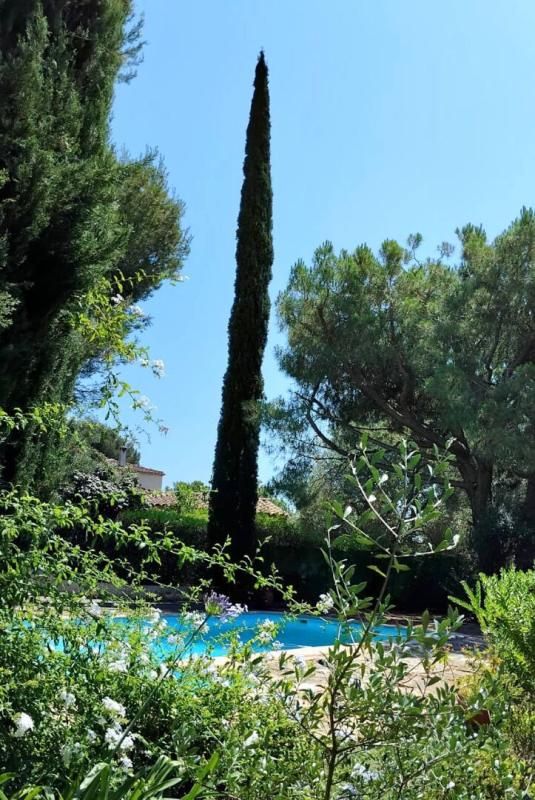Maison avec piscine, garage, dépendance