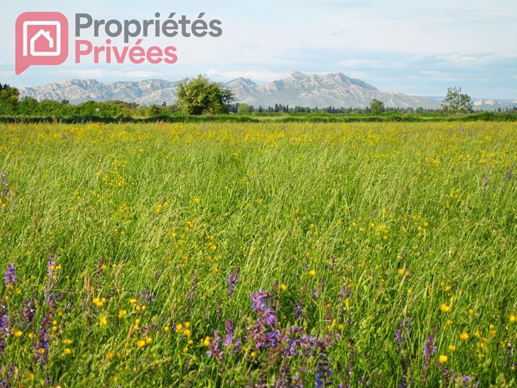 MANDAT EXCLUSIF - Terrain à Batir - Saint Martin De Crau
