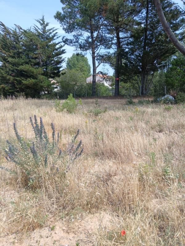 Terrain constructible de 597 m2 à Saint-Jean de Monts - 135680 TTC