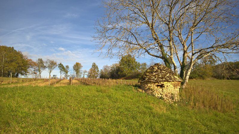 24290 : TERRAIN A BÂTIR AVEC VUE PANORAMIQUE