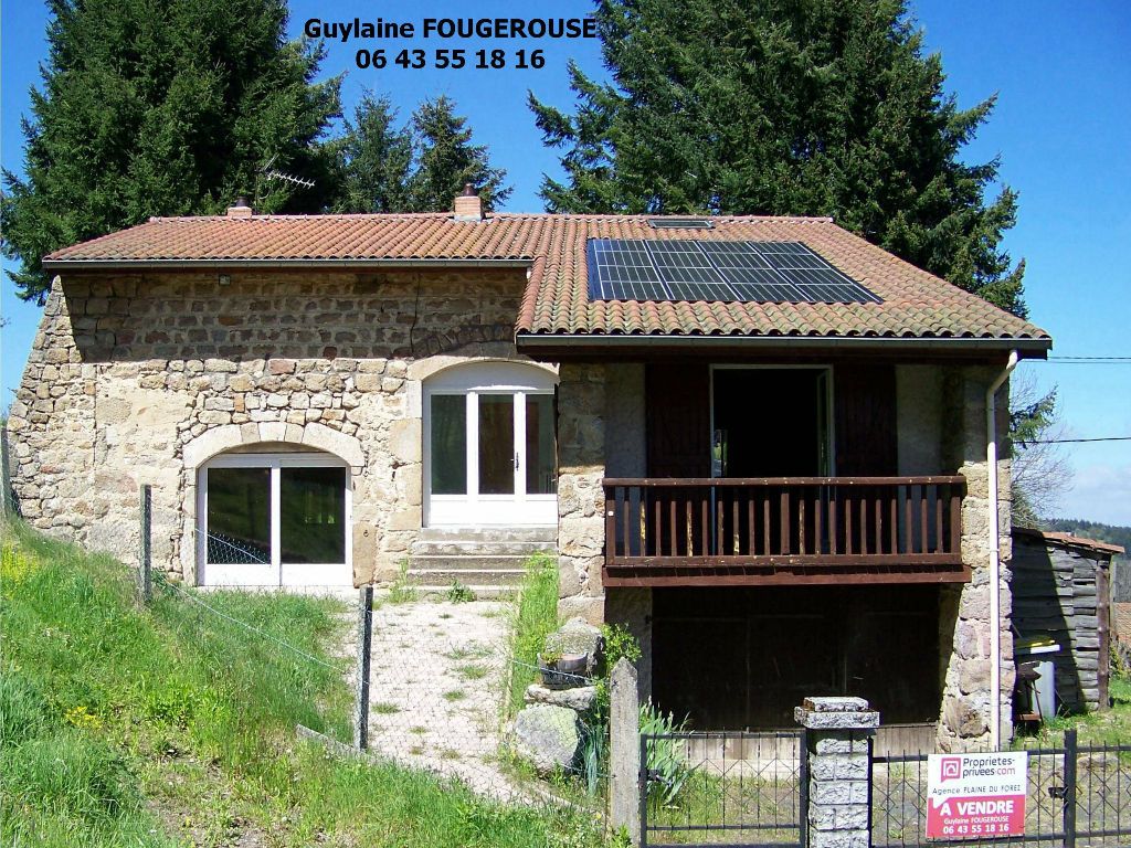 Maison en pierres sur 2 127 m² de terrain