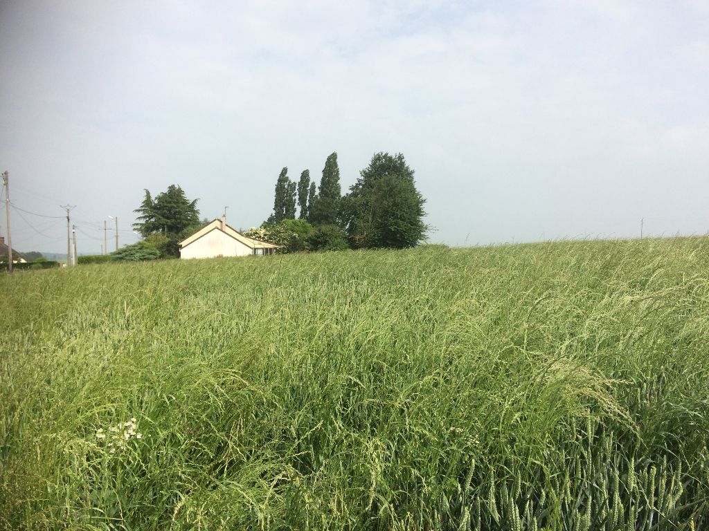 dans un village Proche RD 14 Terrain à Bâtir de 1000 m²