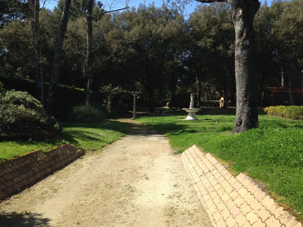 Terrain centre et plage de l'océan